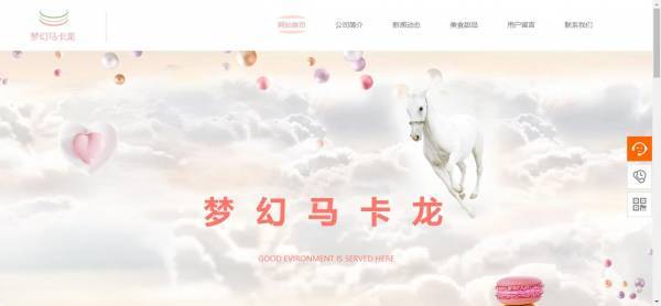 【整站seo】行业动态县级政府门户网站存在问题