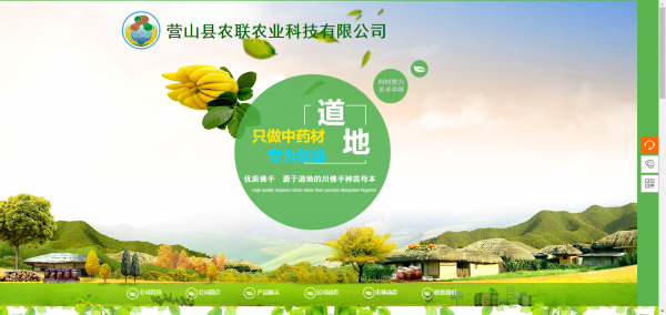 【如何创建网站】医院网站建设方向